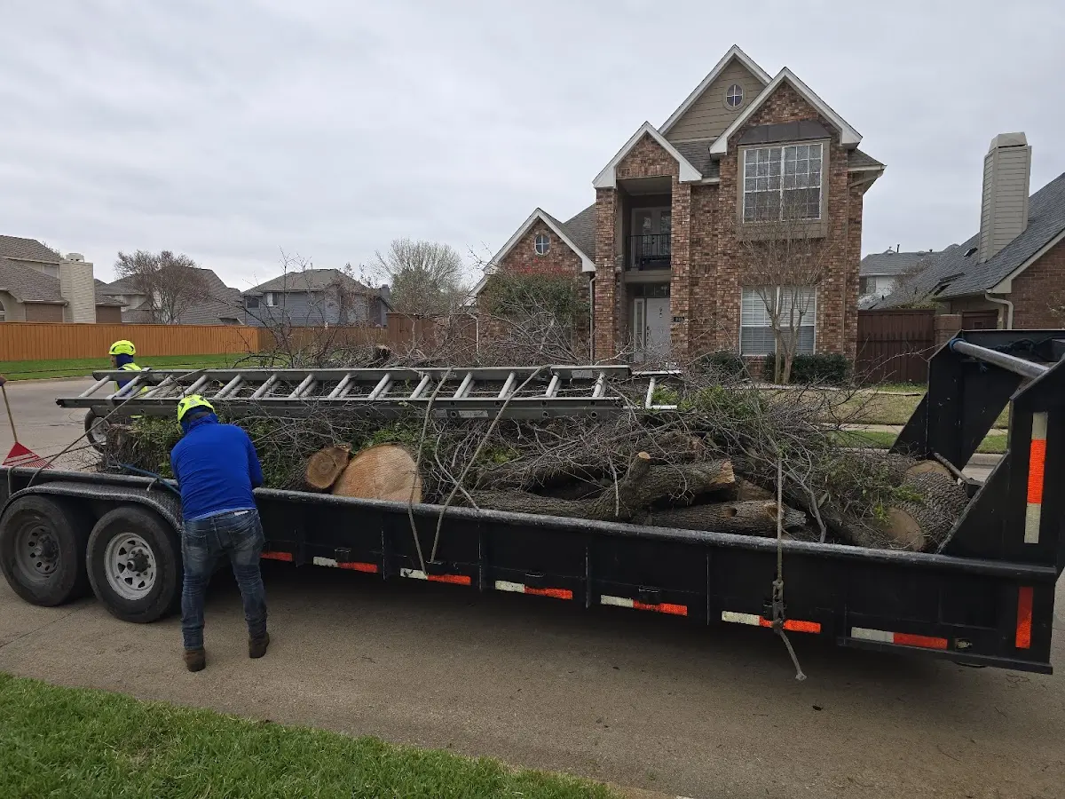 Expert Tree Removal with proper safety equipment in Helenville